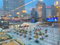 -润园四季椰子鸡火锅(南山海岸城店)