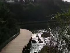 -北戴河东海水浴场