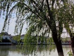 -八大山人梅湖景区