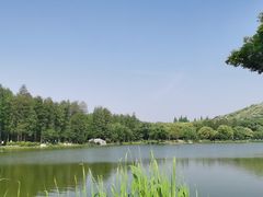 -上海市保健医疗中心