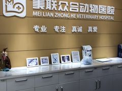 -美联众合动物医院·24h京西诊疗中心