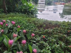 -荔湾湖公园