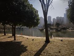 -木塔寺遗址生态公园