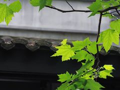 -Tivano意大利餐厅(成都居舍酒店)