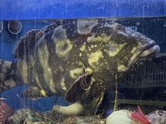 -东江海鲜大排档·潮汕菜·砂锅粥