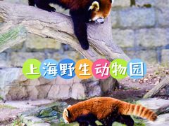 -上海野生动物园