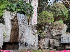 -广州市流溪河国家森林公园