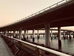 -演武大桥观景平台