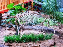 -中国第四纪冰川遗迹陈列馆