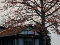 -喜洲吧·江畔老船厂·庭院餐厅(喜临院店)