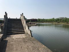 -上海鲜花港