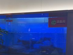 -老板恋上鱼(印象城店)