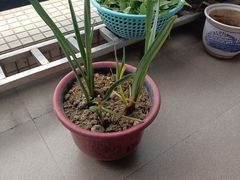-荔湾区儿童公园