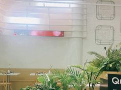 -靓蛙馆