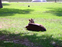 赛汗塔拉生态园&nbsp;(12)-赛汗塔拉风情园