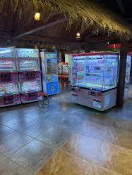 -卡通尼·Safari非洲探索乐园·生日会(金桥国际商业广场店)