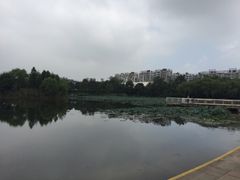 -新江湾城公园
