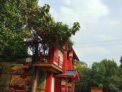 -太阳宫公园