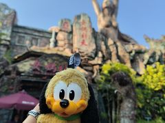 -厦门方特东方神画