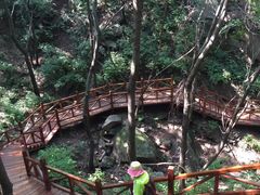 -大岭沟猕猴桃谷风景区
