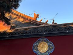 -青城公园