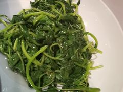 -席家花园(巨鹿花园店)