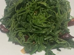 -杨氏青龙虾·羊蝎子(托乐嘉店)