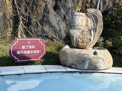 -英德宝晶宫天鹅湖茶语温泉