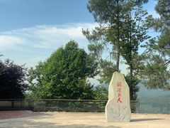 -铁山坪森林公园