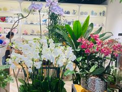 -花辰月夕花坊(北滨路店)