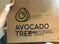 -油梨树AVOCADO TREE(望京店)