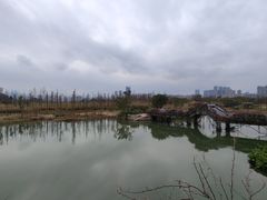 -三垟湿地