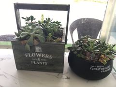 -DOPAMINE多巴胺·甜品面包·生日蛋糕(国贸店)