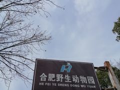 -合肥野生动物园