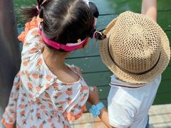 -长白岛森林公园