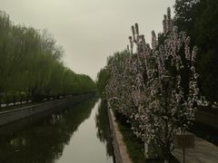 -元大都城垣遗址公园