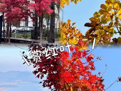 -吉林市朱雀山国家森林公园