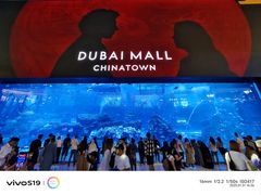 -迪拜水族馆及水下动物园