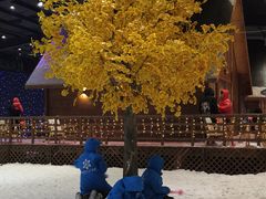 -宁波冰雪大世界(北仑区)