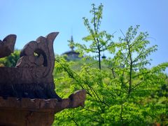 -瑞安圣井山景区