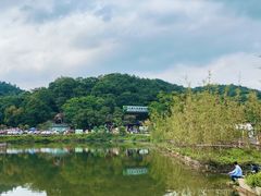 -芦仙山景区-飞越丛林探险乐园