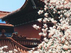 -皇罗禅寺