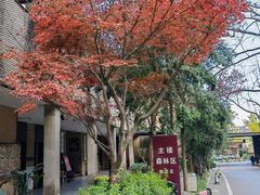 -天怡·鱼工厂(梅溪湖店)