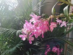 -北京植物园-展览温室