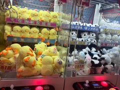 -汤姆熊欢乐世界(正大店)