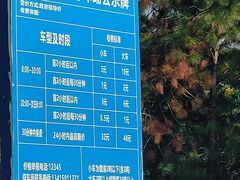 -东莞植物园