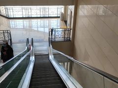 -天津医科大学第二医院