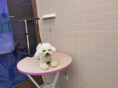 -FAELING PETS美天灵宠物(富力广场店)