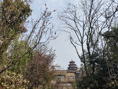 -铁山坪森林公园