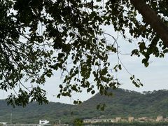 -风云岭森林公园